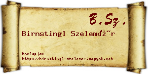 Birnstingl Szelemér névjegykártya